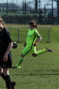 Bild 113 - C-Juniorinnen SV Steinhorst/Labenz - TSV Friedrichsberg-Busdorf : Ergebnis: 5:0